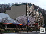Click to see Y20130406_194556.JPG