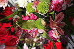 Click to see Y20140328_180249_1.JPG