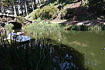 Click to see Y20140406_154425_1.JPG