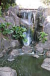 Click to see Y20140406_155452.JPG