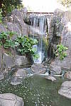 Click to see Y20140406_155547_1.JPG