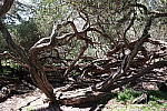 Click to see Y20140406_161812_1.JPG