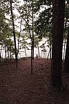 Click to see YD-SAM_0053.JPG