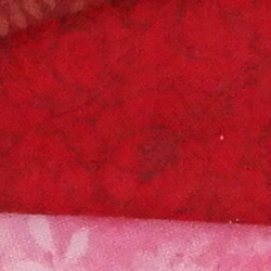 100% crop from Samsung NX1 test image taken at ISO 1600
