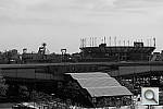 Click to see YSAM_0454.JPG