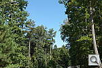 Click to see NX20PINE_SP.JPG