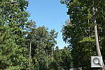 Click to see NX20PINE_SPu300r03.JPG