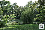 Click to see YSAM_1075.JPG