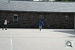 Click to see YSAM_1137.JPG