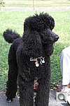 Click to see YSAM_1148.JPG