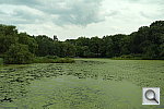 Click to see YSAM_1161.JPG