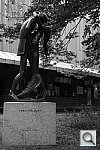 Click to see YSAM_1166.JPG