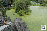 Click to see YSAM_1180.JPG