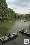Click to see YSAM_1209.JPG