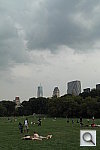 Click to see YSAM_1237.JPG