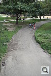 Click to see YSAM_1238.JPG