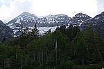 Click to see YSAM_0115.JPG