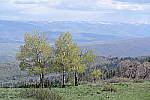 Click to see YSAM_0135.JPG