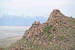 Click to see YSAM_0510-sr3.JPG