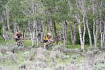 Click to see YSAM_0845.JPG