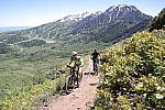 Click to see YSAM_0958.JPG