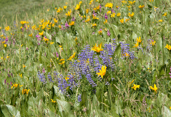 Samsung NX30 Review - Sample Image