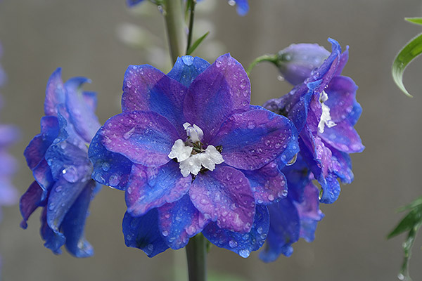 Samsung NX30 Review -- Gallery photo