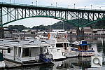 Click to see YSAM_0062.JPG