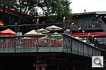 Click to see YSAM_0082.JPG
