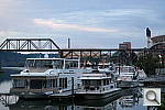 Click to see YSAM_0092.JPG