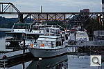 Click to see YSAM_0106.JPG