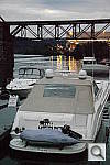 Click to see YSAM_0141.JPG
