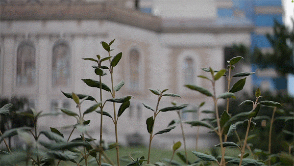 Samsung NX300 review -- 3D sample image