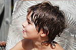 Click to see YB_60MM_0326.JPG