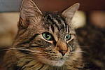 Click to see YC_45MM_0232.JPG
