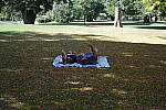 Click to see YD-SAM_0446.JPG