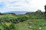 Click to see YSAM_0088.JPG
