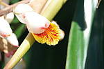 Click to see YSAM_0090.JPG