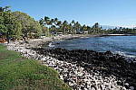 Click to see YSAM_0175.JPG