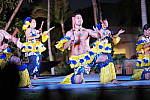 Click to see YSAM_0206.JPG