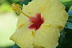 Click to see YSAM_0448.JPG
