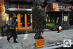 Click to see Y_SDI0307.JPG