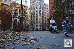 Click to see Y_SDI0318.JPG