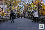Click to see Y_SDI0325.JPG