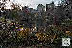 Click to see Y_SDI0473.JPG