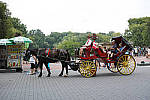 Click to see YA-0008-SPP606.JPG