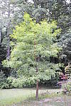 Click to see YSDIM0093.JPG