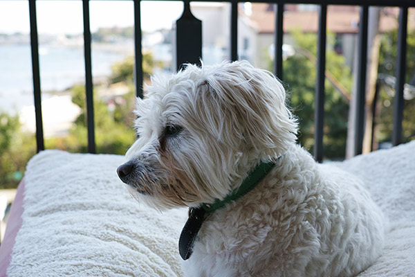 Sigma dp2 Quattro review - sample gallery image