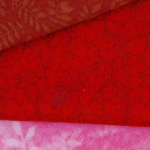 sigma dp2 test image, converted in spp v6.0.6