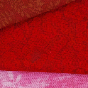 sigma dp2 quattro sample image, converted in spp v6.0.4